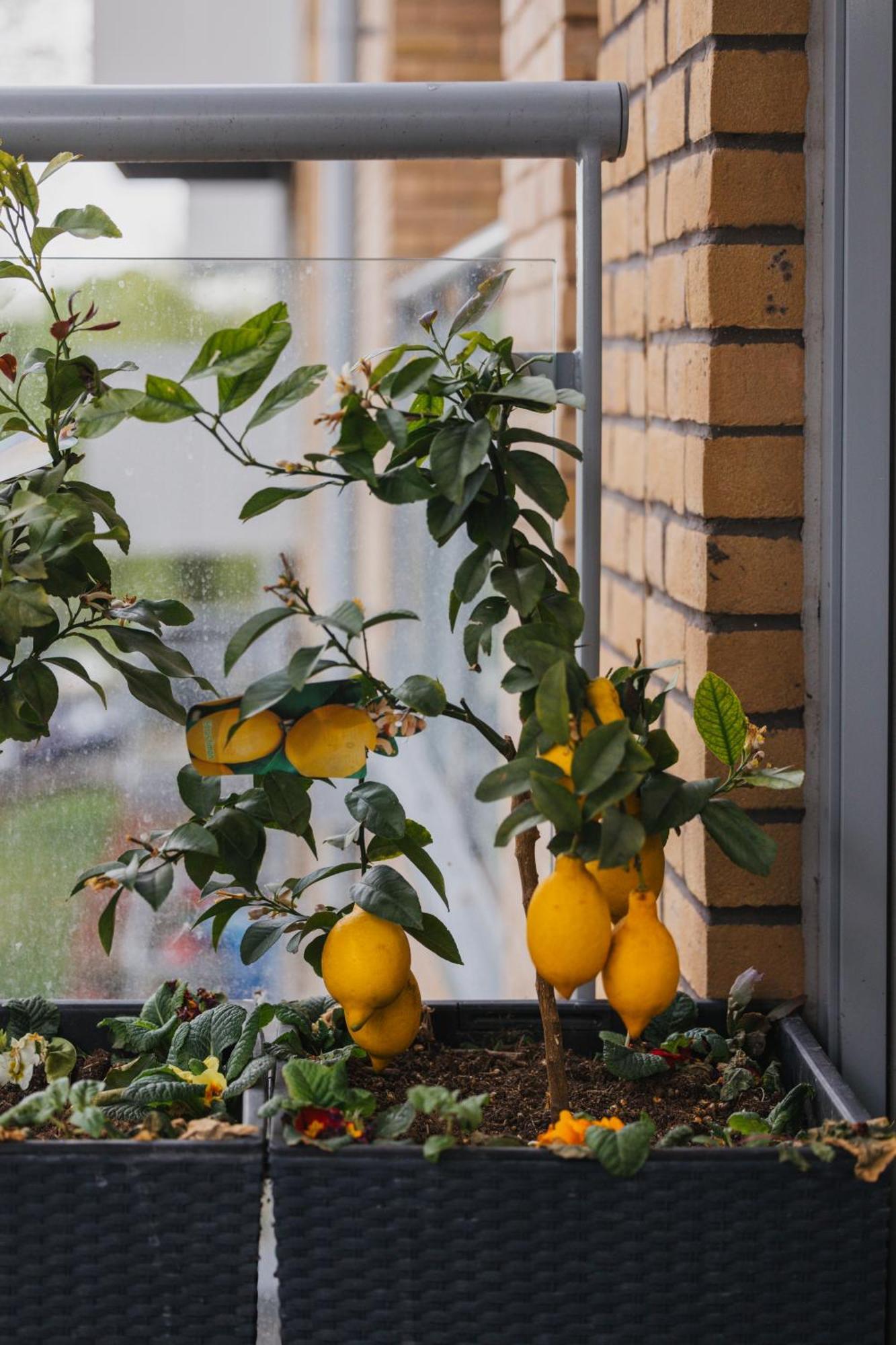 Brixton Village Flat- Private En-Suite Double Bedroom 伦敦 外观 照片